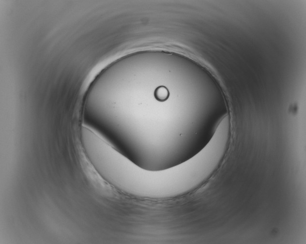 X0000112801530200909111224