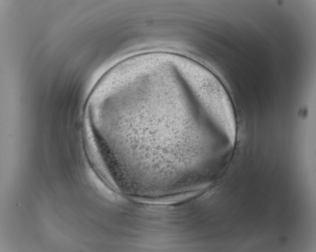 X0000112801532200909111224