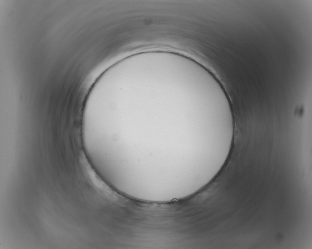 X0000112801534200909111224