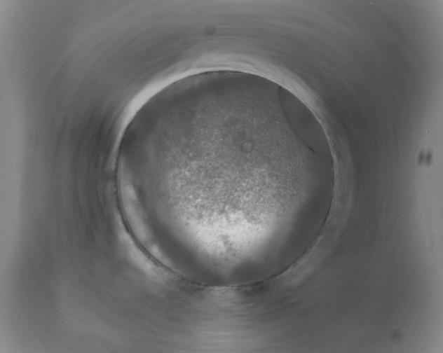 X0000112801536200909111224