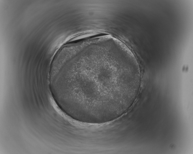 X0000112800002200909181547