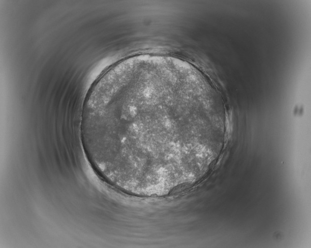 X0000112800003200909181547