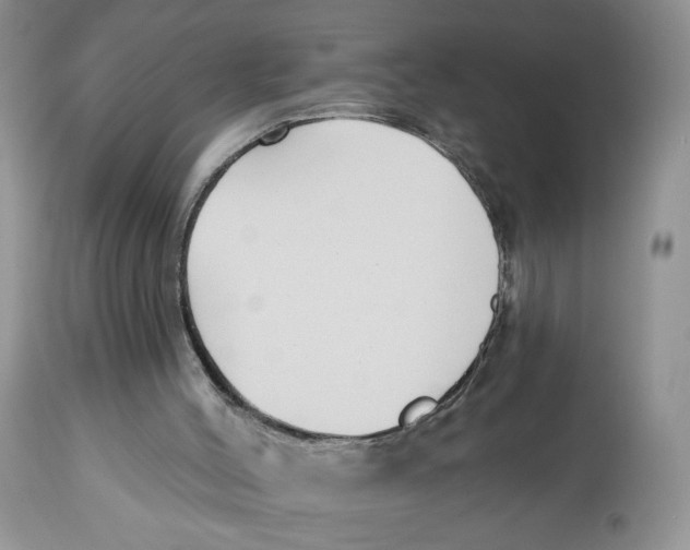 X0000112800004200909181547