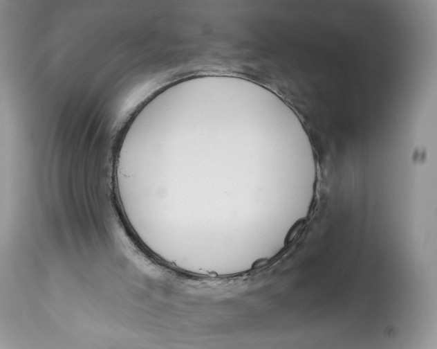 X0000112800005200909181547