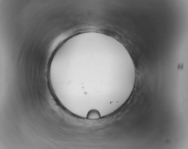 X0000112800006200909181547