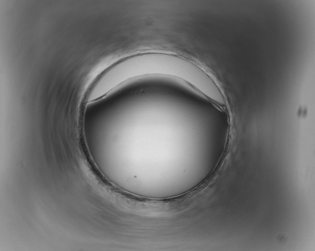 X0000112800008200909181547