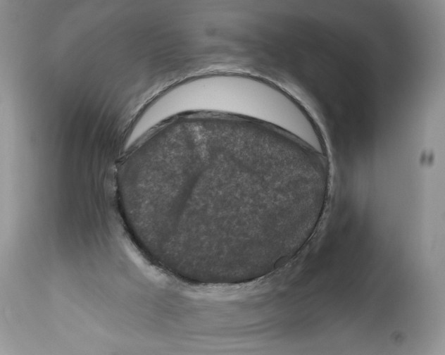 X0000112800009200909181547