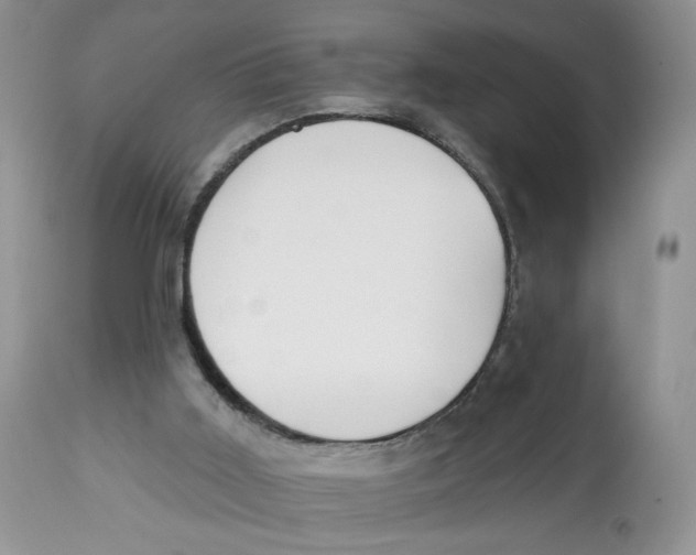 X0000112800011200909181547