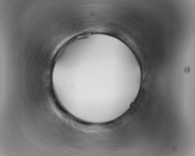 X0000112800012200909181547