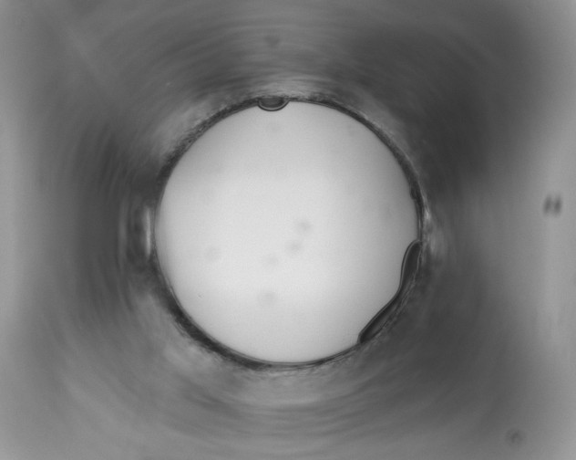 X0000112800013200909181547