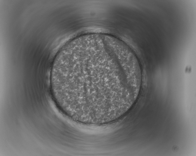 X0000112800014200909181547