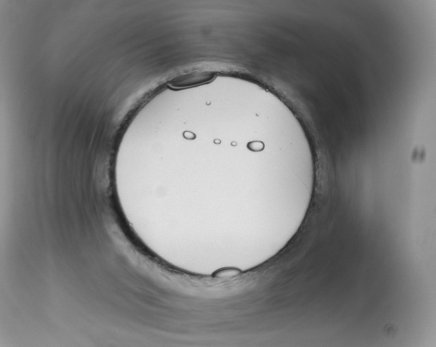 X0000112800015200909181547