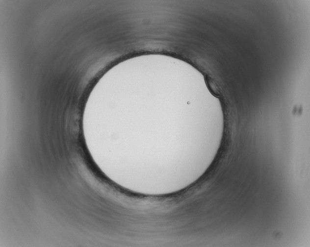 X0000112800016200909181547
