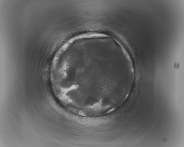 X0000112800018200909181547