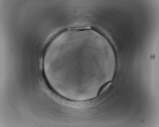 X0000112800019200909181547