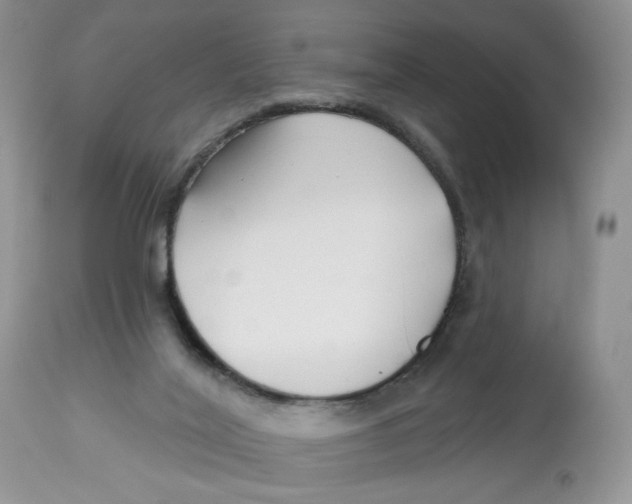 X0000112800020200909181547
