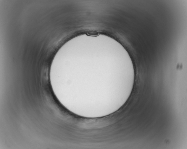 X0000112800021200909181547