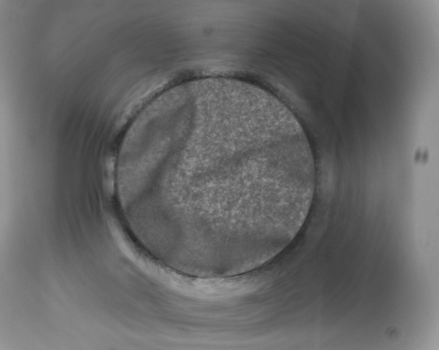 X0000112800022200909181547
