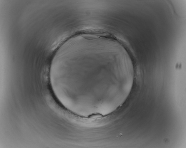 X0000112800023200909181547
