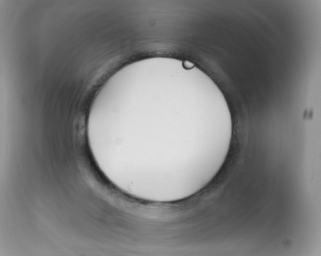 X0000112800024200909181547