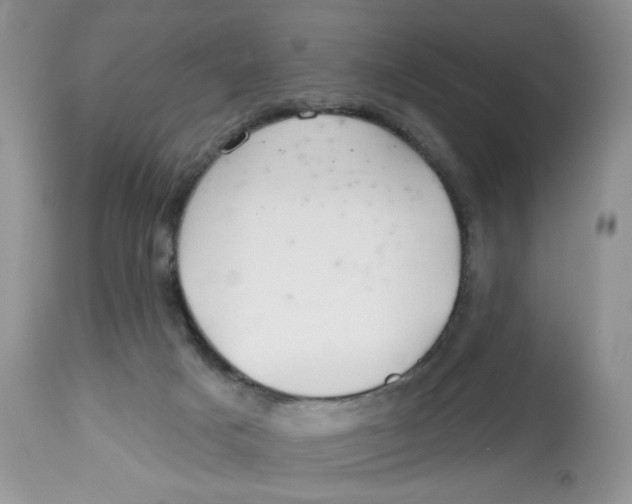 X0000112800025200909181547