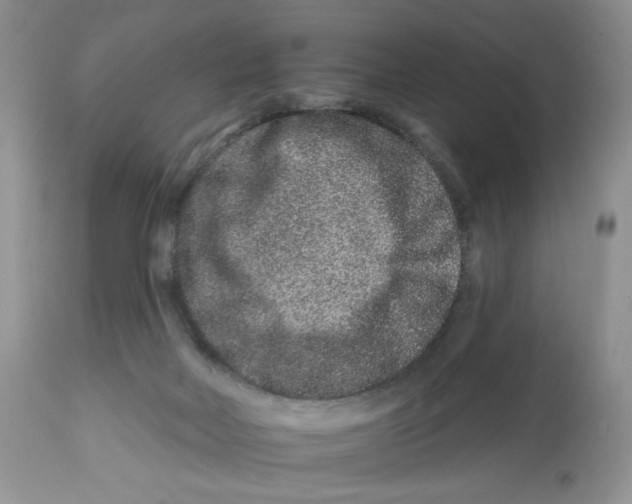 X0000112800026200909181547