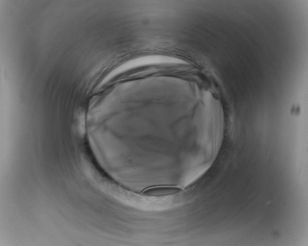 X0000112800027200909181547