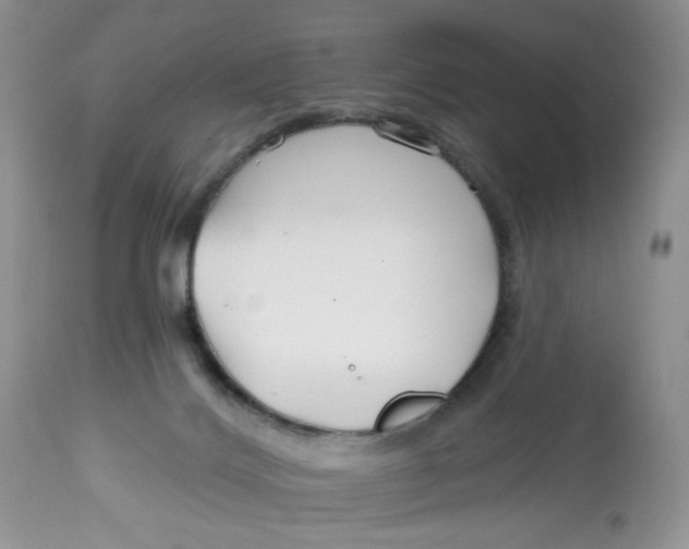 X0000112800028200909181547