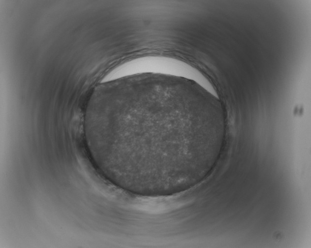 X0000112800029200909181547