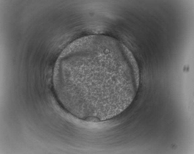 X0000112800030200909181547