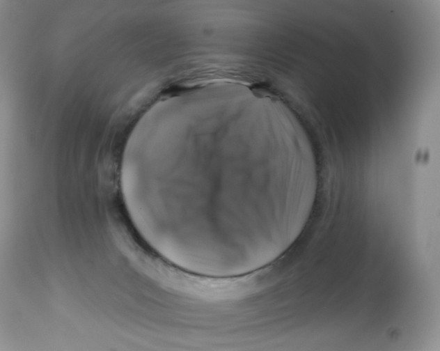 X0000112800031200909181547