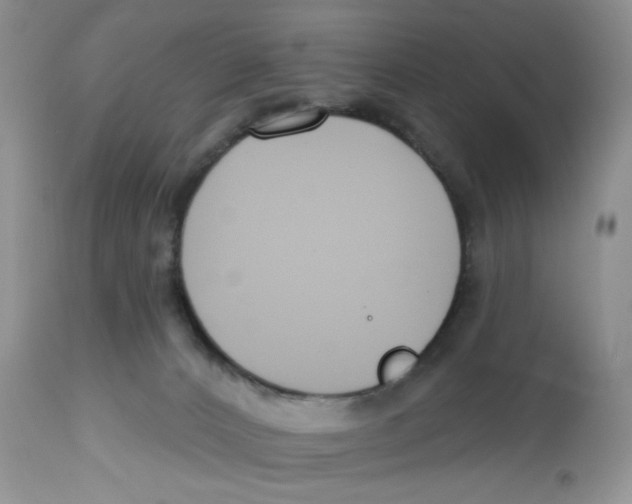 X0000112800032200909181547