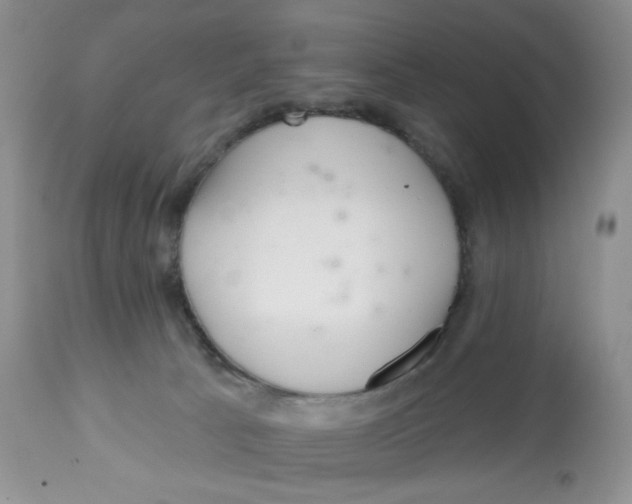 X0000112800033200909181547
