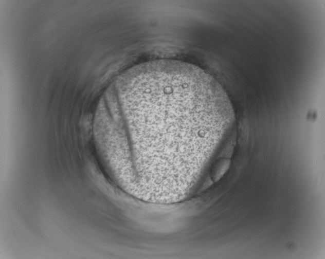 X0000112800034200909181547