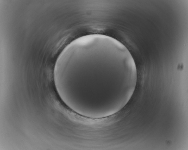X0000112800035200909181547