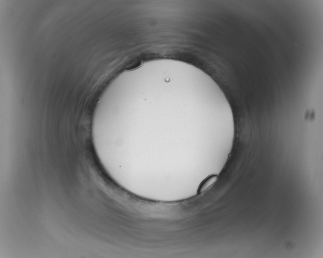 X0000112800036200909181547