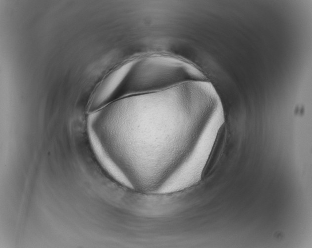 X0000112800037200909181547