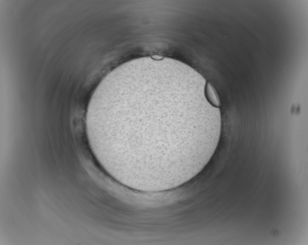 X0000112800038200909181547
