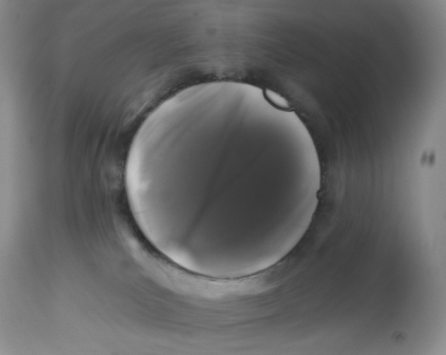 X0000112800039200909181547
