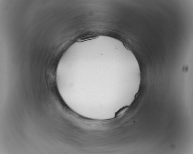 X0000112800040200909181547