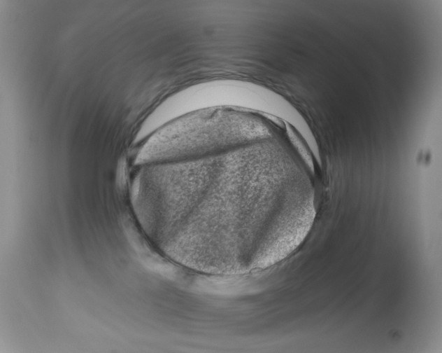 X0000112800041200909181547