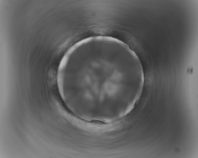 X0000112800043200909181547