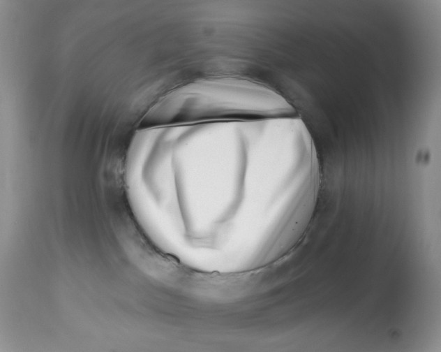 X0000112800045200909181547