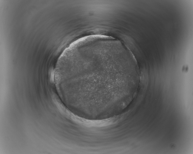 X0000112800046200909181547