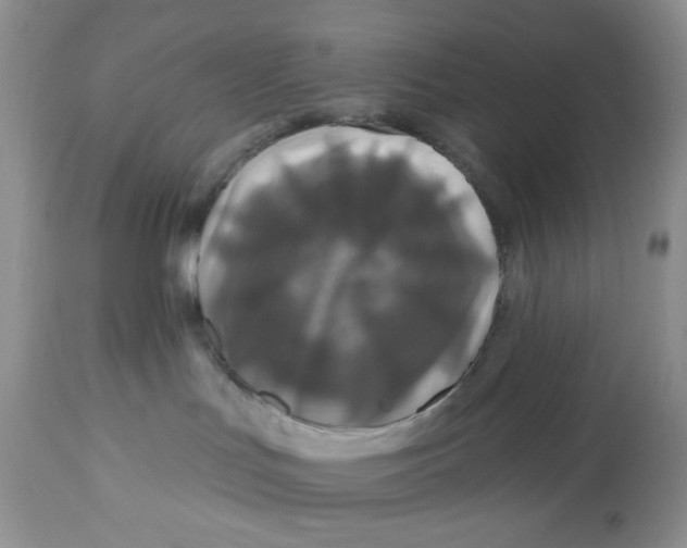 X0000112800047200909181547