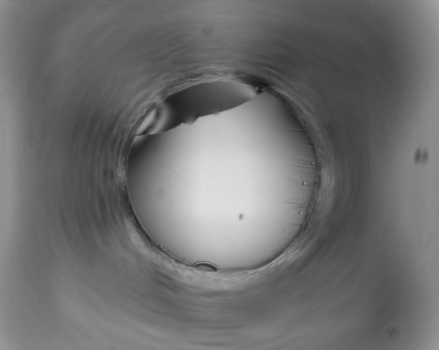 X0000112800048200909181547