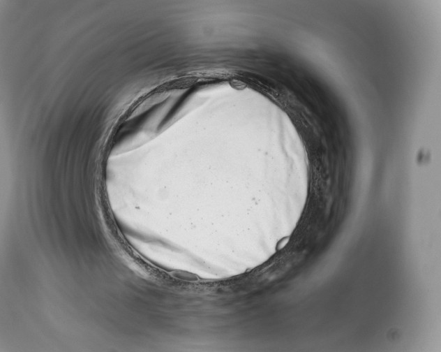 X0000112800049200909181546