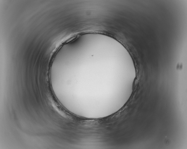 X0000112800050200909181546