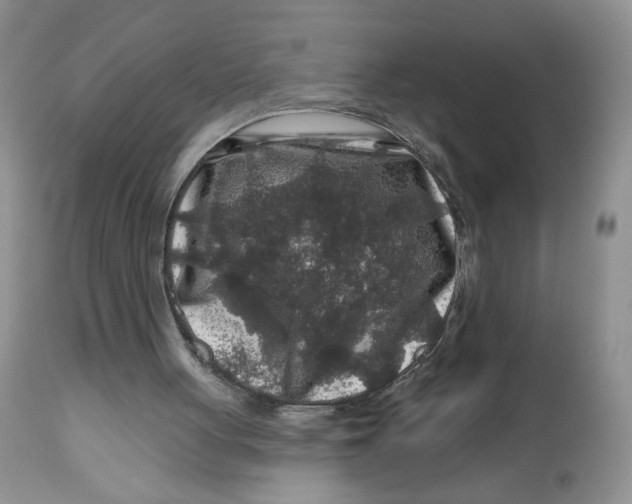 X0000112800051200909181546