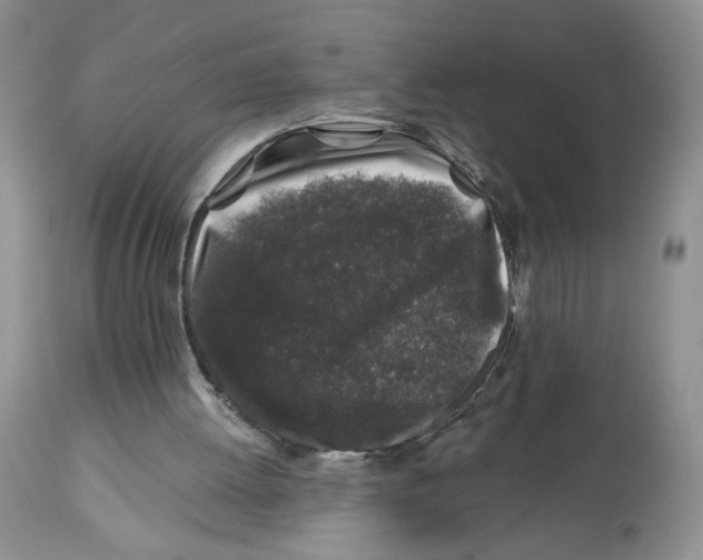X0000112800052200909181546